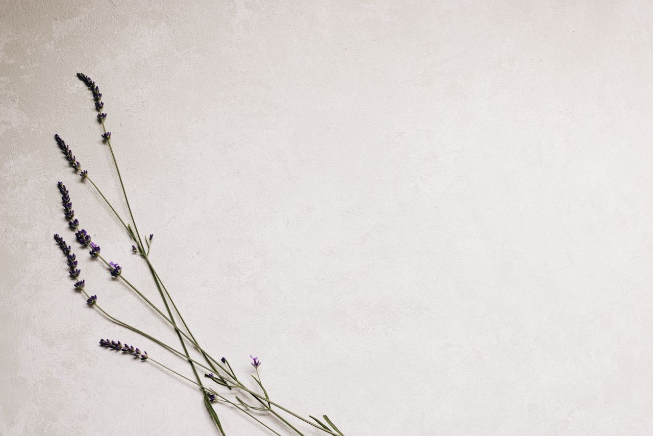 Wild Lavender — floral scented candle